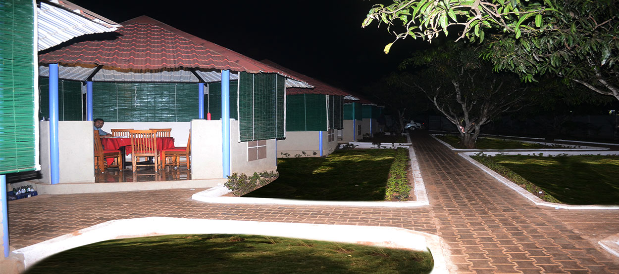Night View